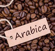 Ma mị trà từ vỏ cà phê Arabica