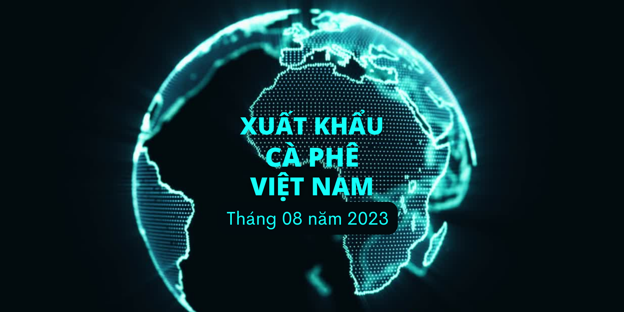 Cùng Vina Nha Trang điểm qua tình hình xuất khẩu cà phê Việt Nam tháng 8 năm 2023