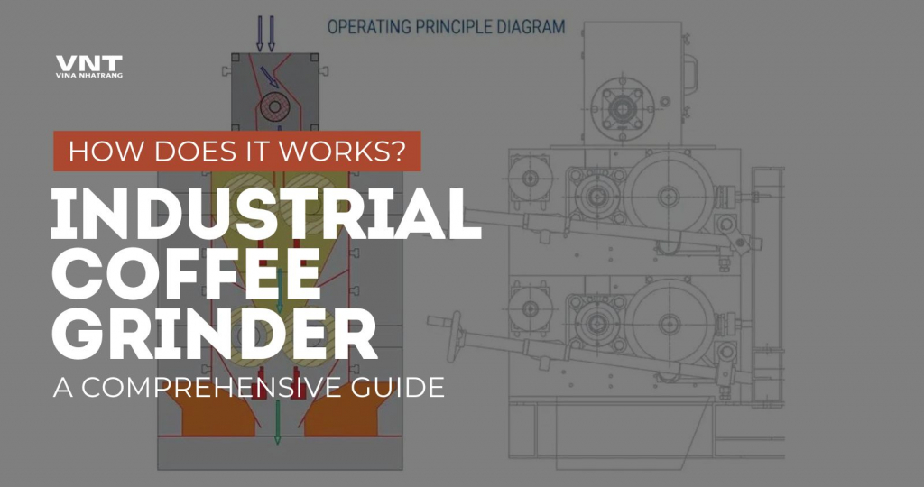 How do Industrial Coffee Grinders Work?