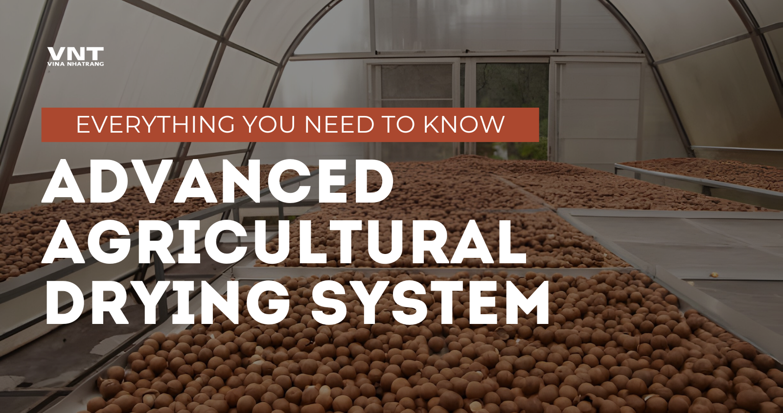 Everything You Need to Know about Agricultural Drying Systems