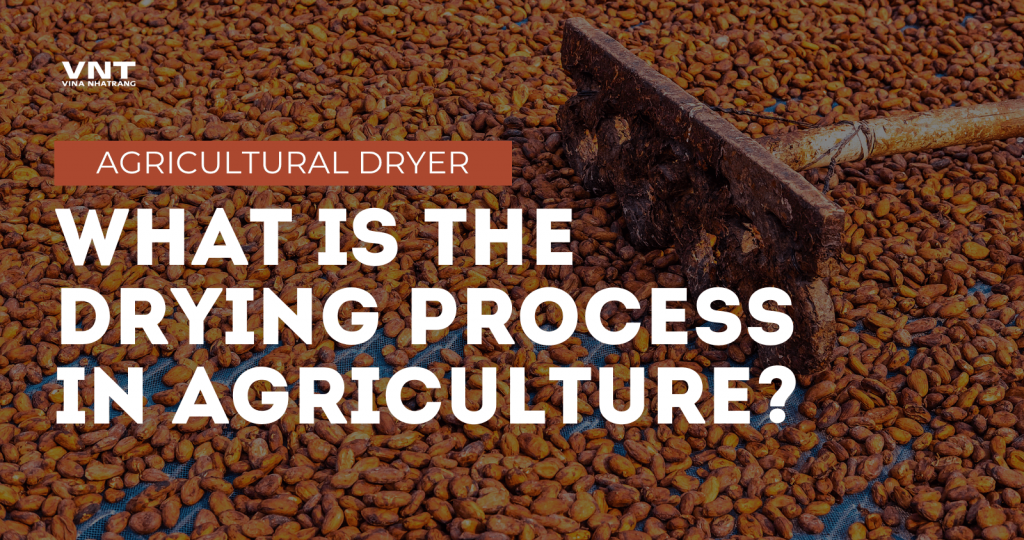 What is the drying process in agriculture