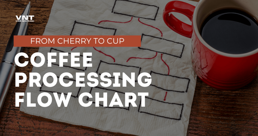 Coffee Processing Flow Chart