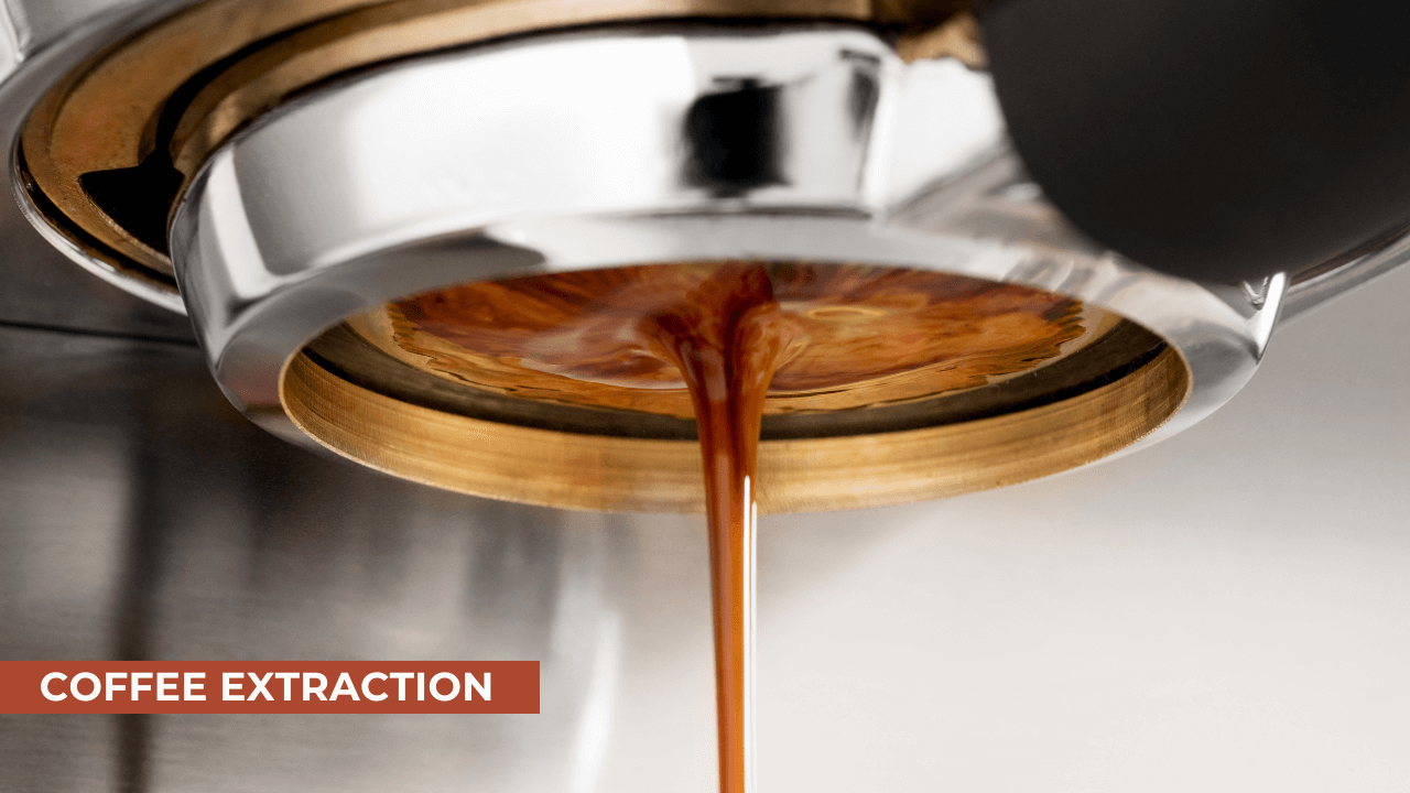 extract coffee