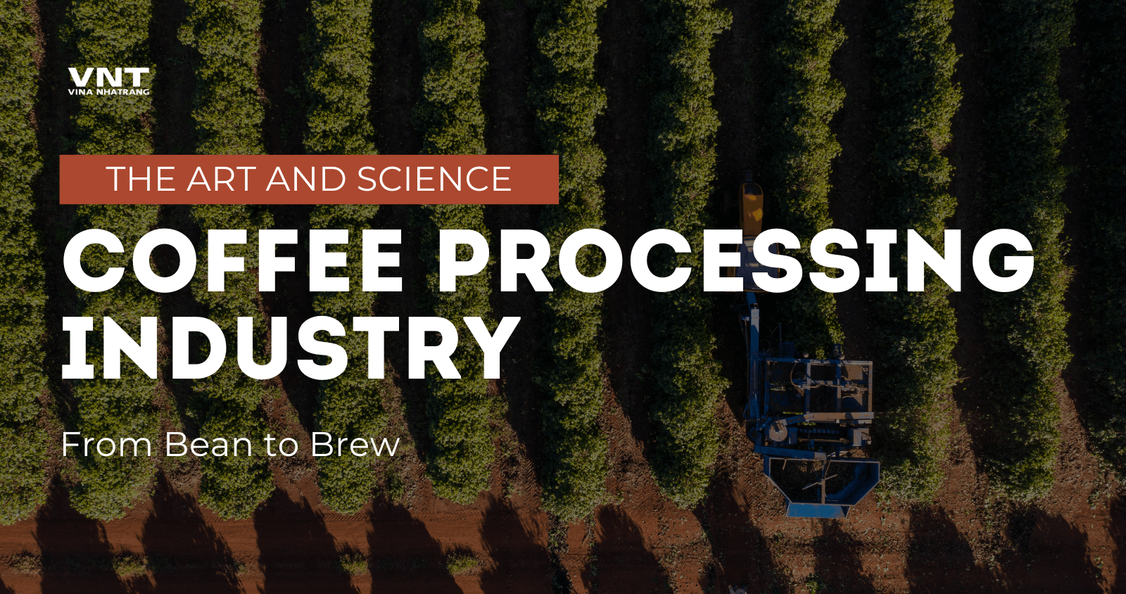 Comprehensive Guide to the Coffee Processing Industry: Methods, Innovations, and Market Trends