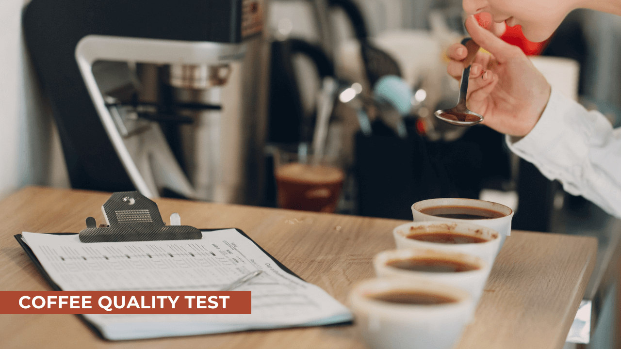 expert testing coffee taste