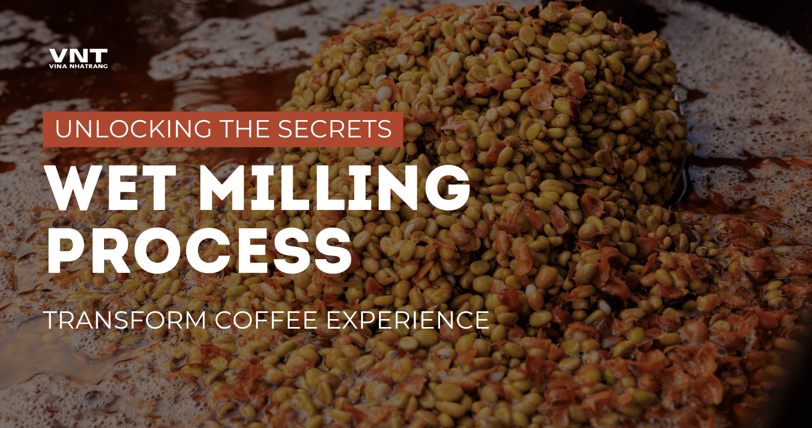 Unlocking the Wet Milling Process: How It Transforms Your Coffee Experience