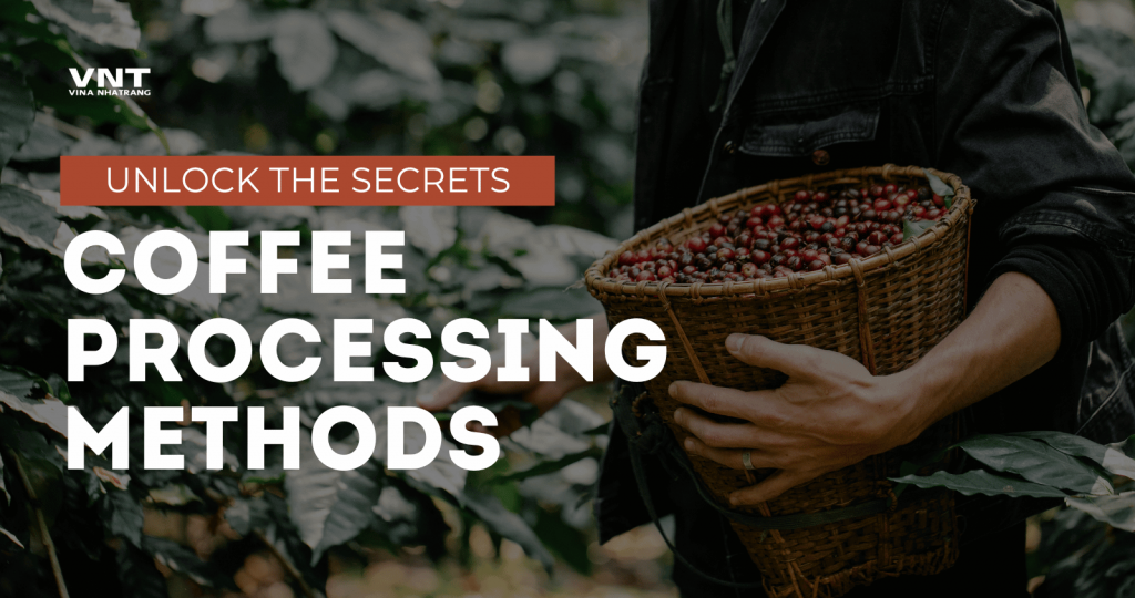 coffee processing methods