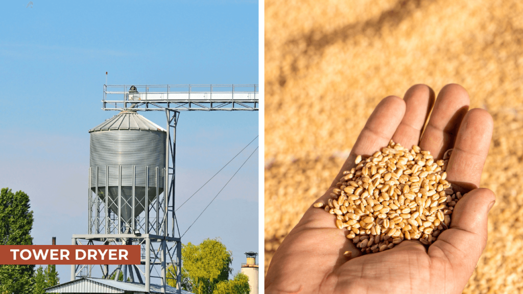 Drying Tower Reeds Top Types Of Tower Dryers For Industrial And Agricultural Use