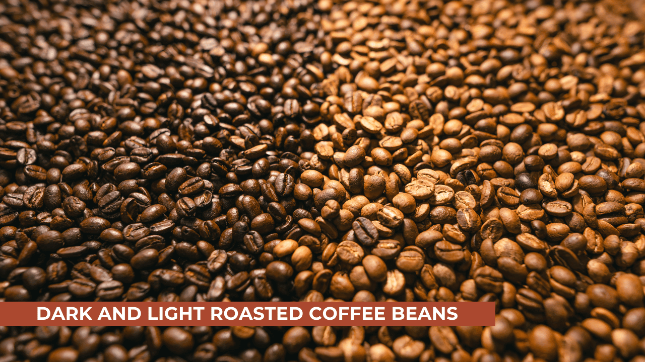 Industry Coffee Roasting Profiles