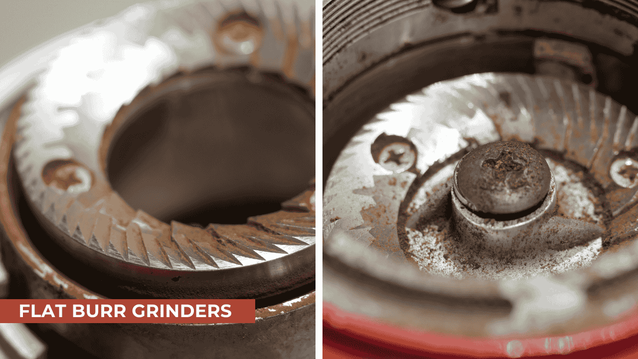 Flat Burr Grinders