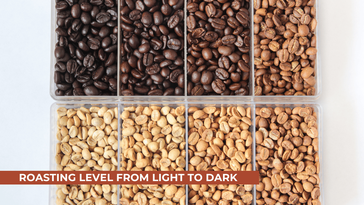 Freshly coffee beans roasting level from light to dark