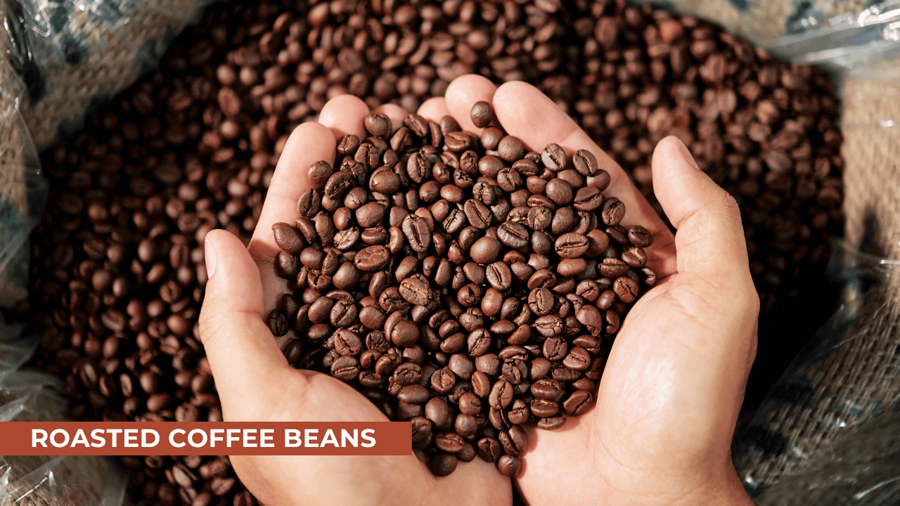 Roasted Coffee Beans