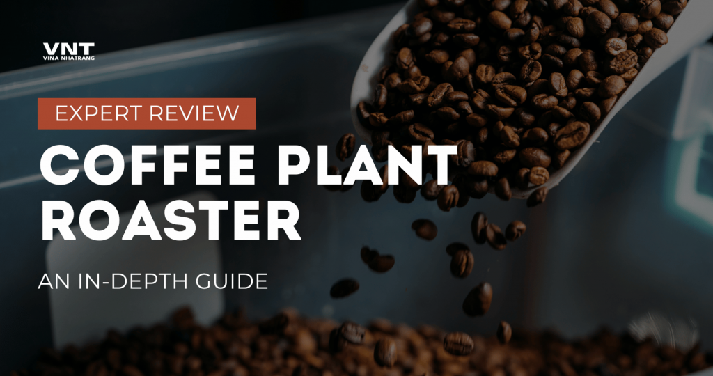 coffee plant roaster an in depth guide