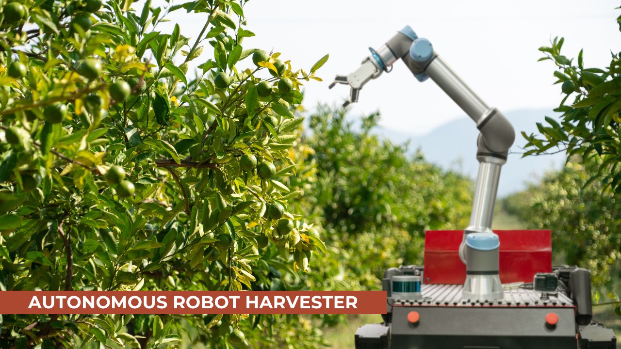 Autonomous robot harvester