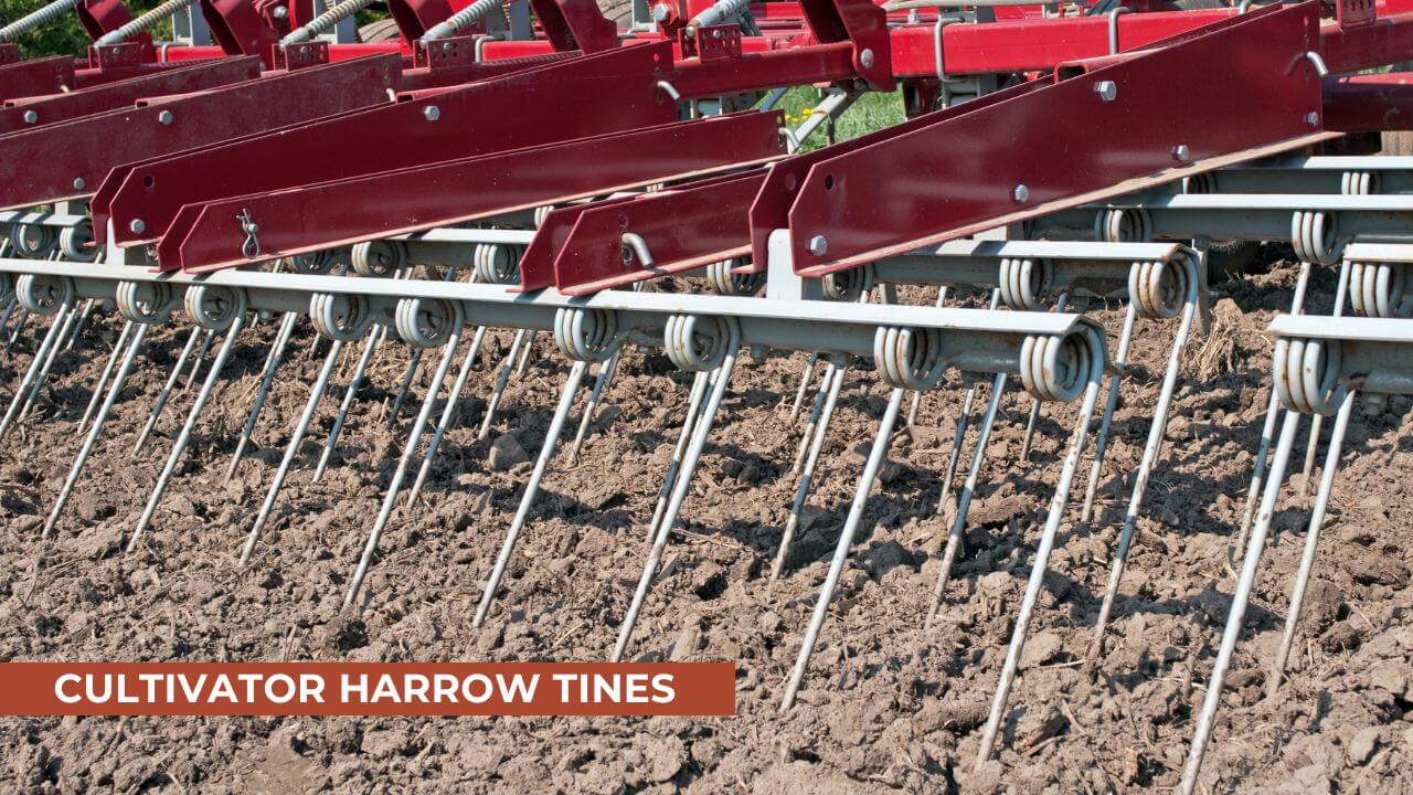 Close-up of a cultivator harrow with metal tines in the soil, used for soil tilling and weed control in agricultural fields