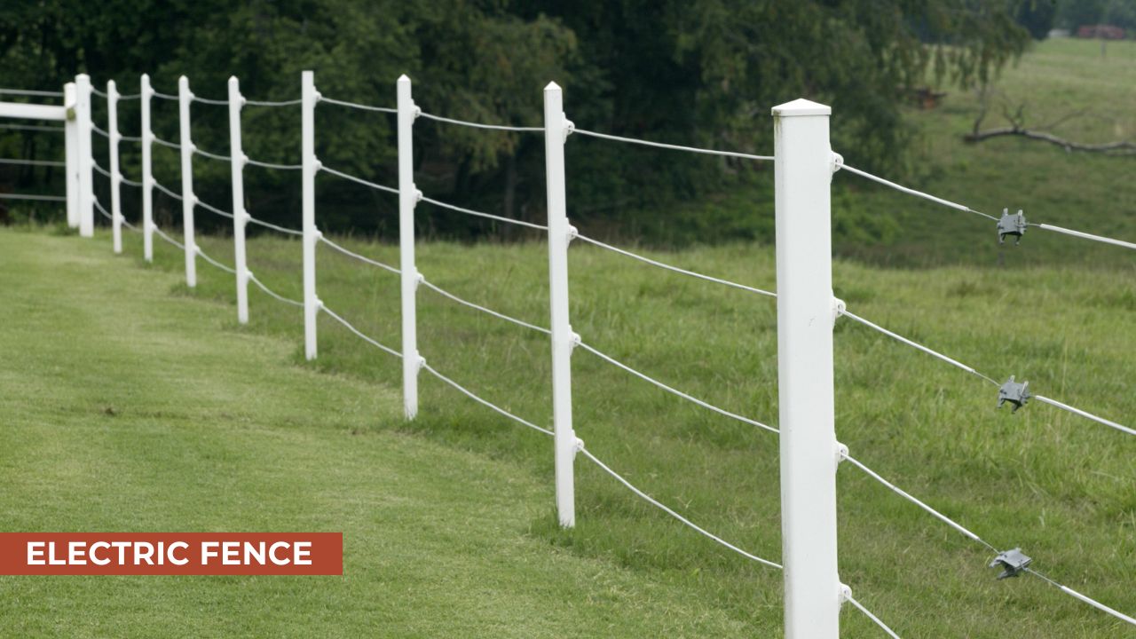 A white electric fence with multiple strands of wire, securely attached to posts, running across a grassy field with a natural green background