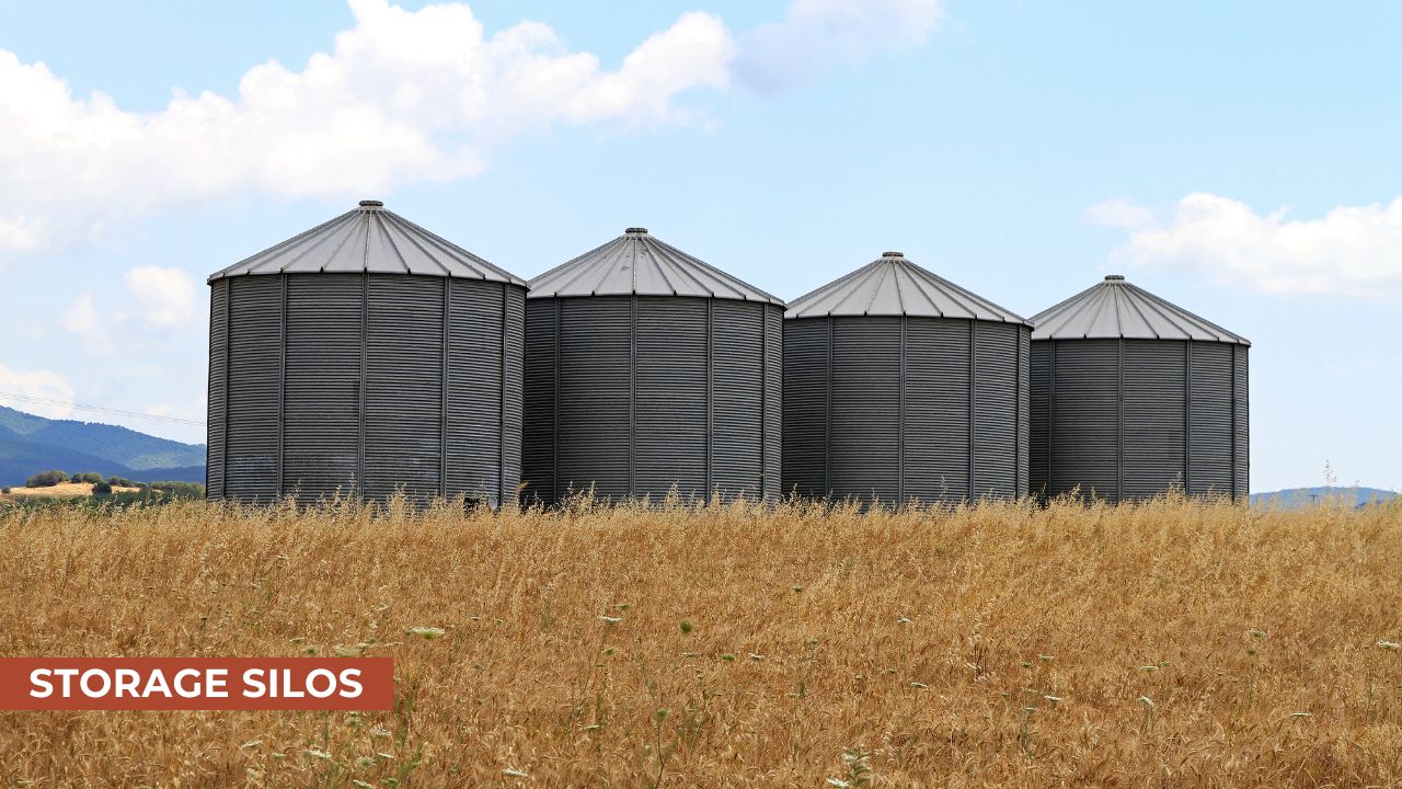 Four large metal storage silos in a field of golden wheat under a bright blue sky with scattered clouds, surrounded by a rural landscape