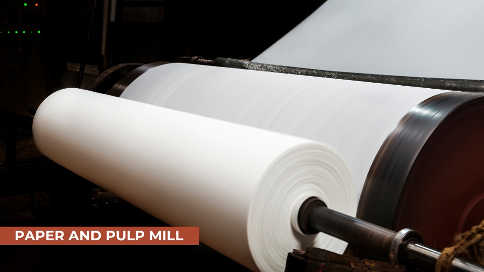 paper and pulp industry