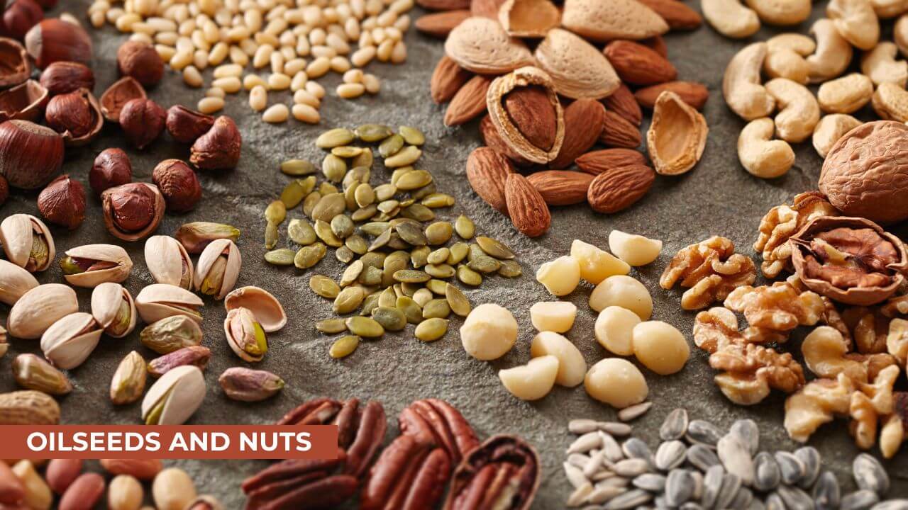 Oilseeds and Nuts