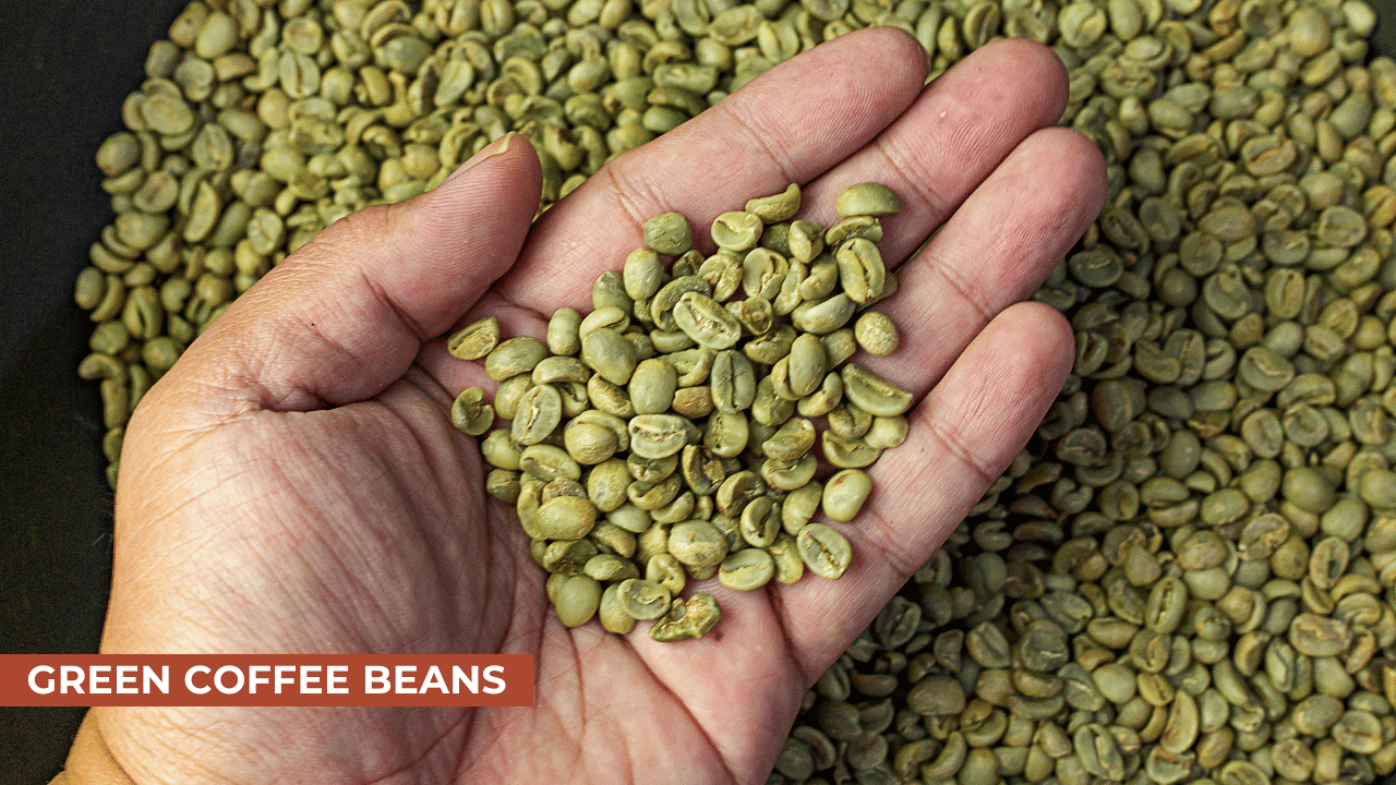 Green Coffee Bean Extract