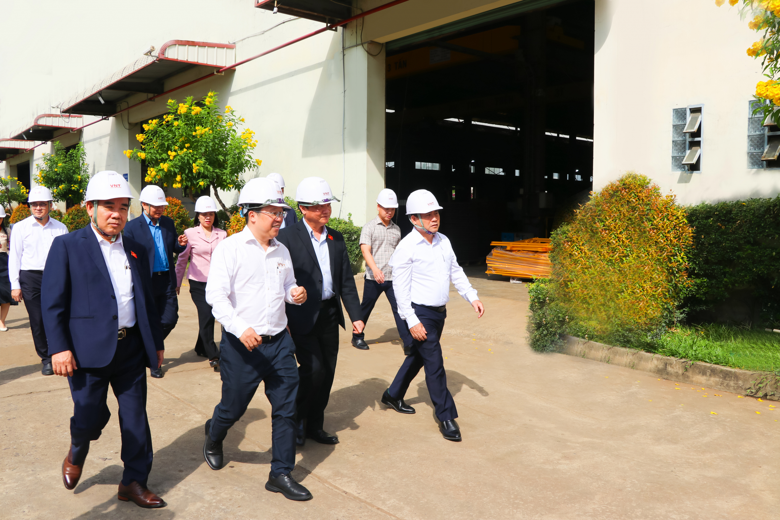 IMG 4847 copy scaled